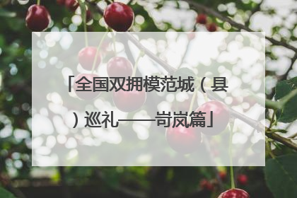 全国双拥模范城（县）巡礼——岢岚篇
