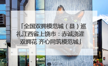全国双拥模范城（县）巡礼江西省上饶市：赤诚浇灌双拥花 齐心同筑模范城