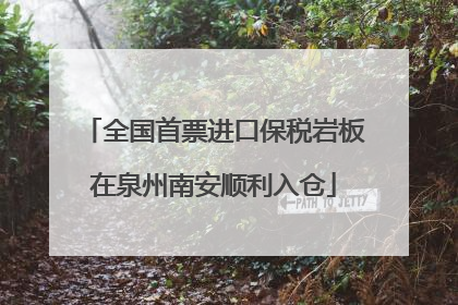 全国首票进口保税岩板在泉州南安顺利入仓