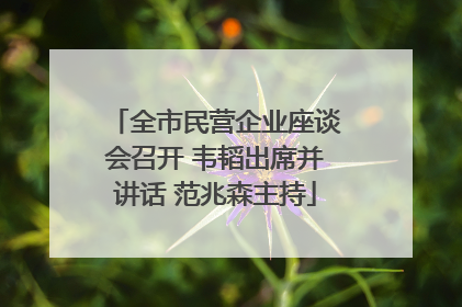 全市民营企业座谈会召开 韦韬出席并讲话 范兆森主持