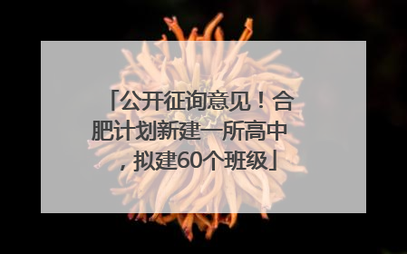 公开征询意见！合肥计划新建一所高中，拟建60个班级