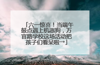 六一惊喜！当端午鼓点遇上机器狗，万官路学校这场活动把孩子们看呆啦→