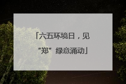 六五环境日，见“郑”绿意涌动