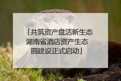 共筑资产盘活新生态 湖南省酒店资产生态圈建设正式启动