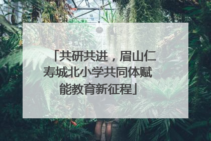 共研共进，眉山仁寿城北小学共同体赋能教育新征程