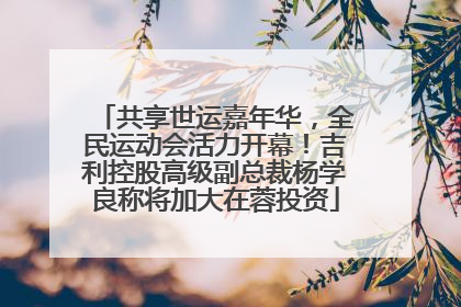 共享世运嘉年华，全民运动会活力开幕！吉利控股高级副总裁杨学良称将加大在蓉投资