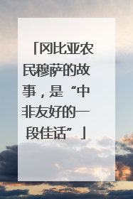 冈比亚农民穆萨的故事，是“中非友好的一段佳话”