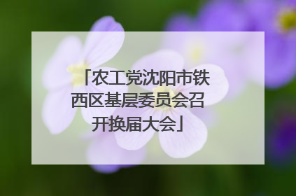 农工党沈阳市铁西区基层委员会召开换届大会