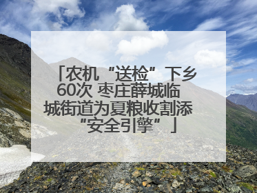 农机“送检”下乡60次 枣庄薛城临城街道为夏粮收割添“安全引擎”