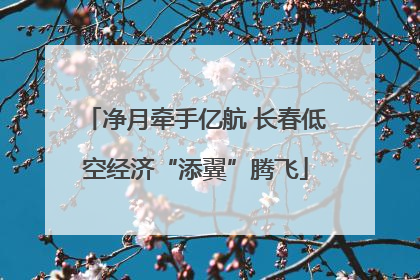 净月牵手亿航 长春低空经济“添翼”腾飞