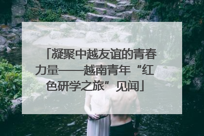 凝聚中越友谊的青春力量——越南青年“红色研学之旅”见闻