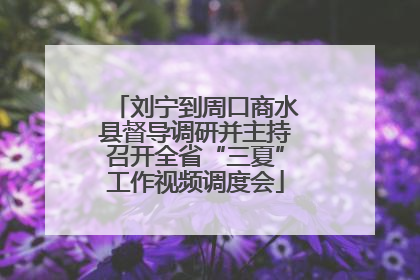 刘宁到周口商水县督导调研并主持召开全省“三夏”工作视频调度会