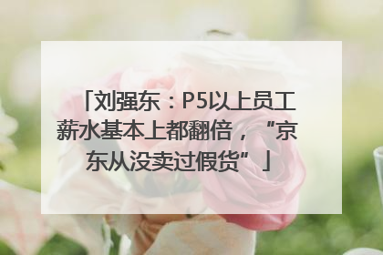 刘强东：P5以上员工薪水基本上都翻倍，“京东从没卖过假货”