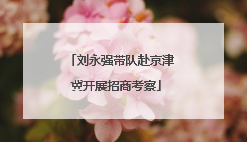 刘永强带队赴京津冀开展招商考察