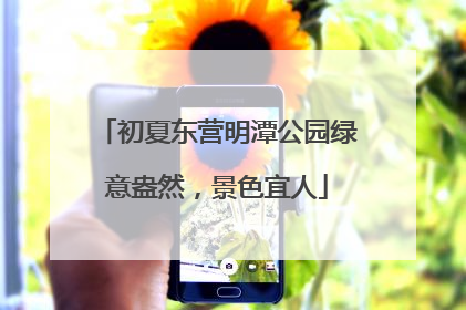 初夏东营明潭公园绿意盎然，景色宜人