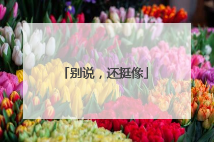 别说，还挺像