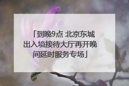 到晚9点 北京东城出入境接待大厅再开晚间延时服务专场