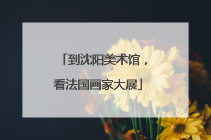 到沈阳美术馆，看法国画家大展