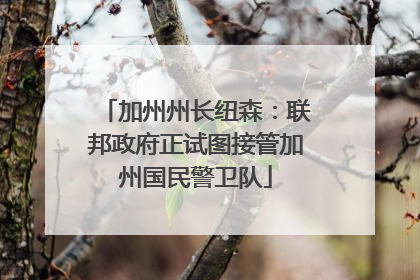 加州州长纽森：联邦政府正试图接管加州国民警卫队