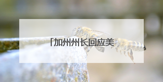 加州州长回应美防长威胁“动用海军陆战队”应对骚乱：简直是疯了