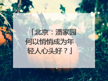 北京：潘家园何以悄悄成为年轻人心头好？