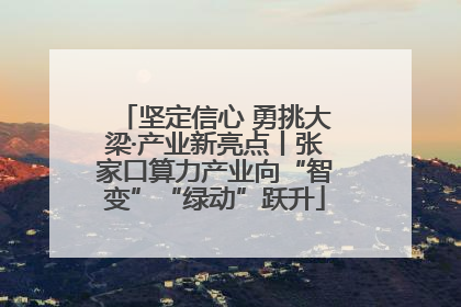 坚定信心 勇挑大梁·产业新亮点丨张家口算力产业向“智变”“绿动”跃升