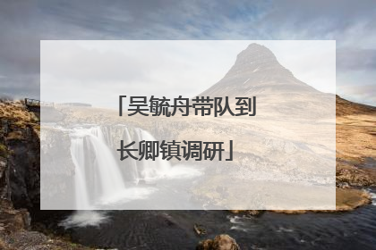 吴毓舟带队到长卿镇调研