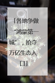 各地争做“鸿蒙第一城”，抢夺万亿生态入口