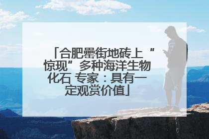合肥罍街地砖上“惊现”多种海洋生物化石 专家：具有一定观赏价值