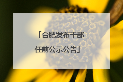 合肥发布干部任前公示公告