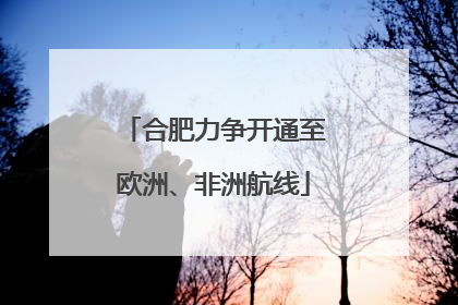 合肥力争开通至欧洲、非洲航线