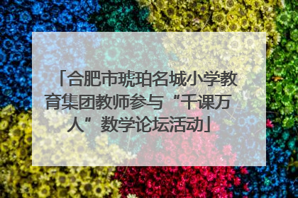 合肥市琥珀名城小学教育集团教师参与“千课万人”数学论坛活动
