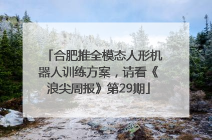合肥推全模态人形机器人训练方案，请看《浪尖周报》第29期