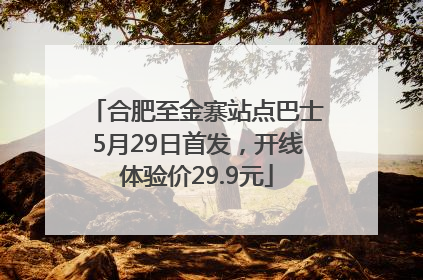 合肥至金寨站点巴士5月29日首发，开线体验价29.9元