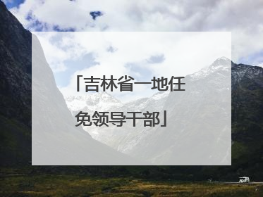 吉林省一地任免领导干部
