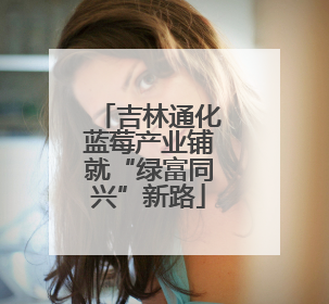吉林通化蓝莓产业铺就“绿富同兴”新路