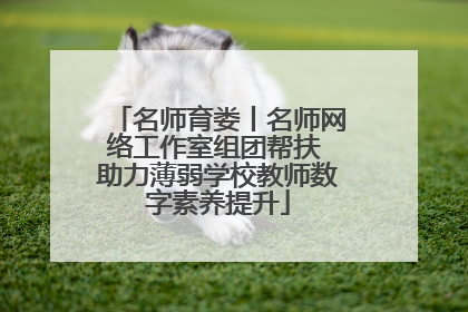 名师育娄丨名师网络工作室组团帮扶 助力薄弱学校教师数字素养提升