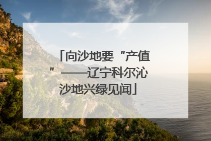向沙地要“产值”——辽宁科尔沁沙地兴绿见闻