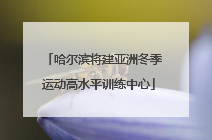 哈尔滨将建亚洲冬季运动高水平训练中心