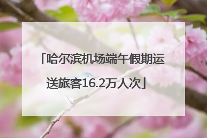 哈尔滨机场端午假期运送旅客16.2万人次
