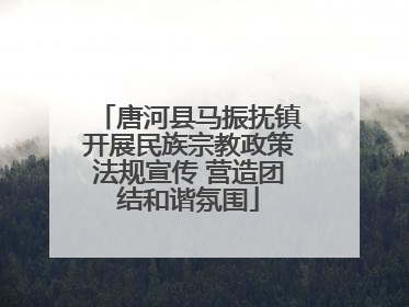 唐河县马振抚镇开展民族宗教政策法规宣传 营造团结和谐氛围