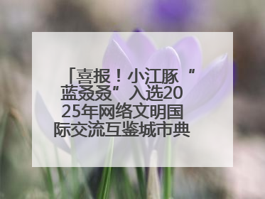 喜报！小江豚“蓝叒叒”入选2025年网络文明国际交流互鉴城市典型案例