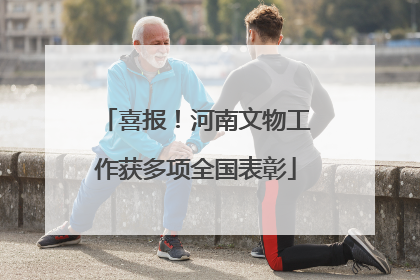 喜报！河南文物工作获多项全国表彰