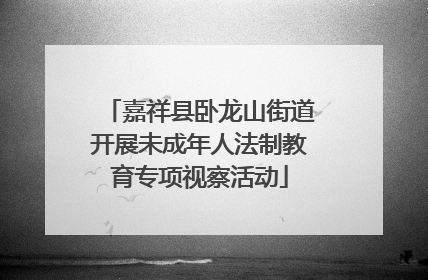 嘉祥县卧龙山街道开展未成年人法制教育专项视察活动