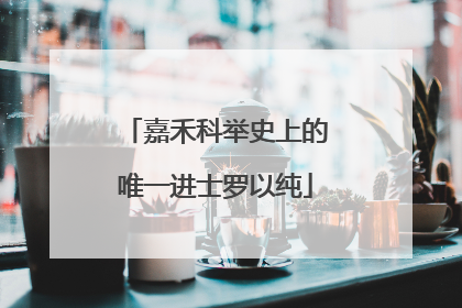 嘉禾科举史上的唯一进士罗以纯