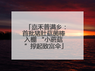 嘉禾普满乡：首批猪肚菇菌棒入棚 “小蘑菇”撑起致富伞