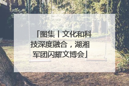 图集丨文化和科技深度融合，湖湘军团闪耀文博会