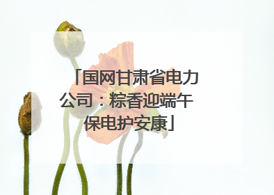 国网甘肃省电力公司：粽香迎端午 保电护安康