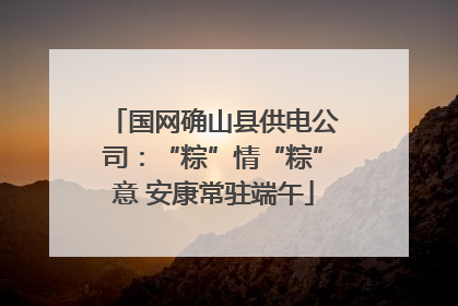 国网确山县供电公司：“粽”情“粽”意 安康常驻端午