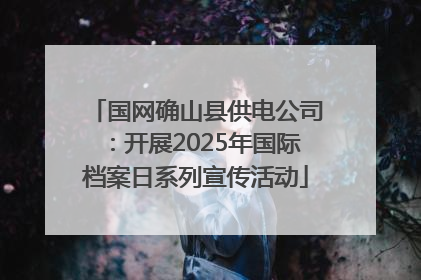国网确山县供电公司：开展2025年国际档案日系列宣传活动